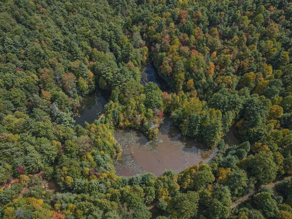 TBD Flat Top Road, Pearisburg, VA 24134