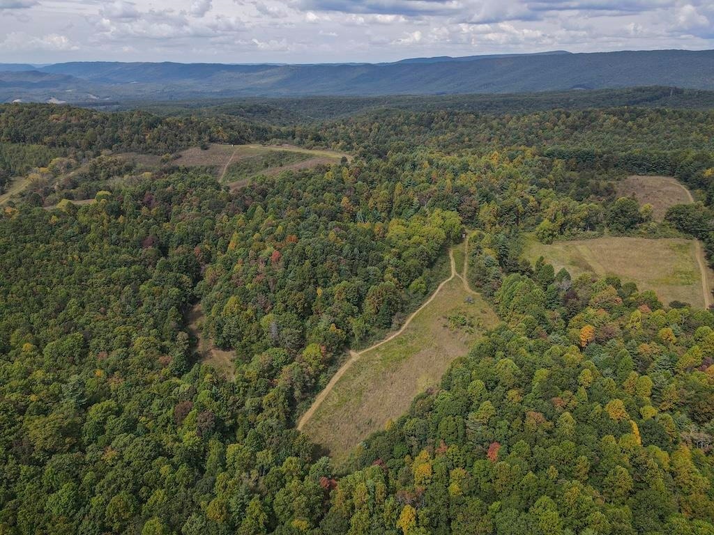 TBD Flat Top Road, Pearisburg, VA 24134
