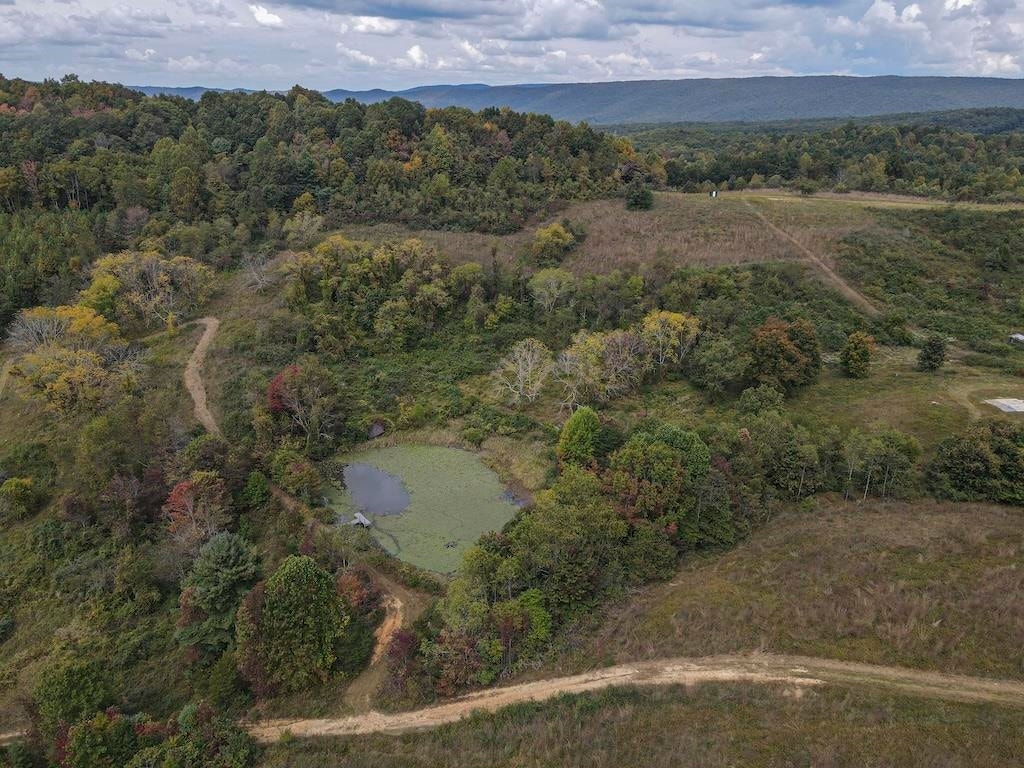 TBD Flat Top Road, Pearisburg, VA 24134