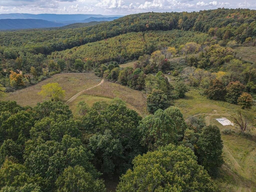 TBD Flat Top Road, Pearisburg, VA 24134