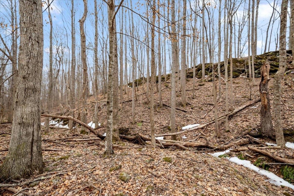 TBD Mt Tabor Road, Blacksburg, VA 24060