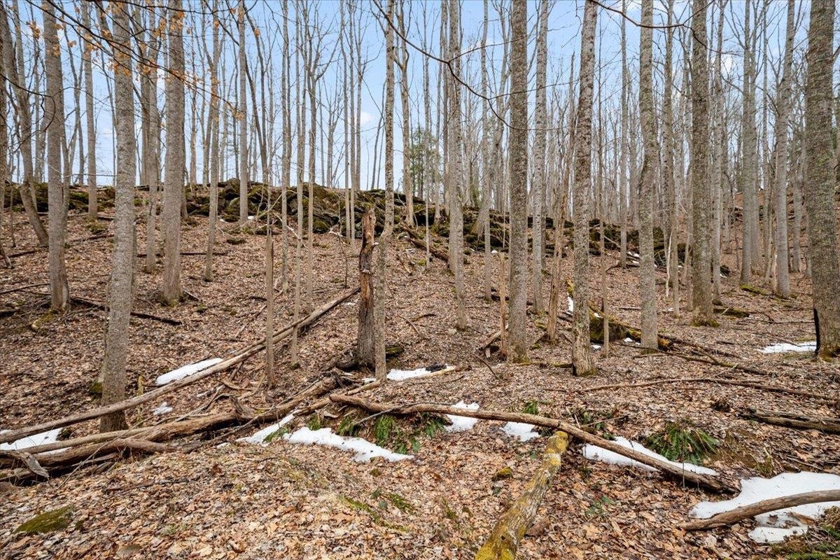 TBD Mt Tabor Road, Blacksburg, VA 24060