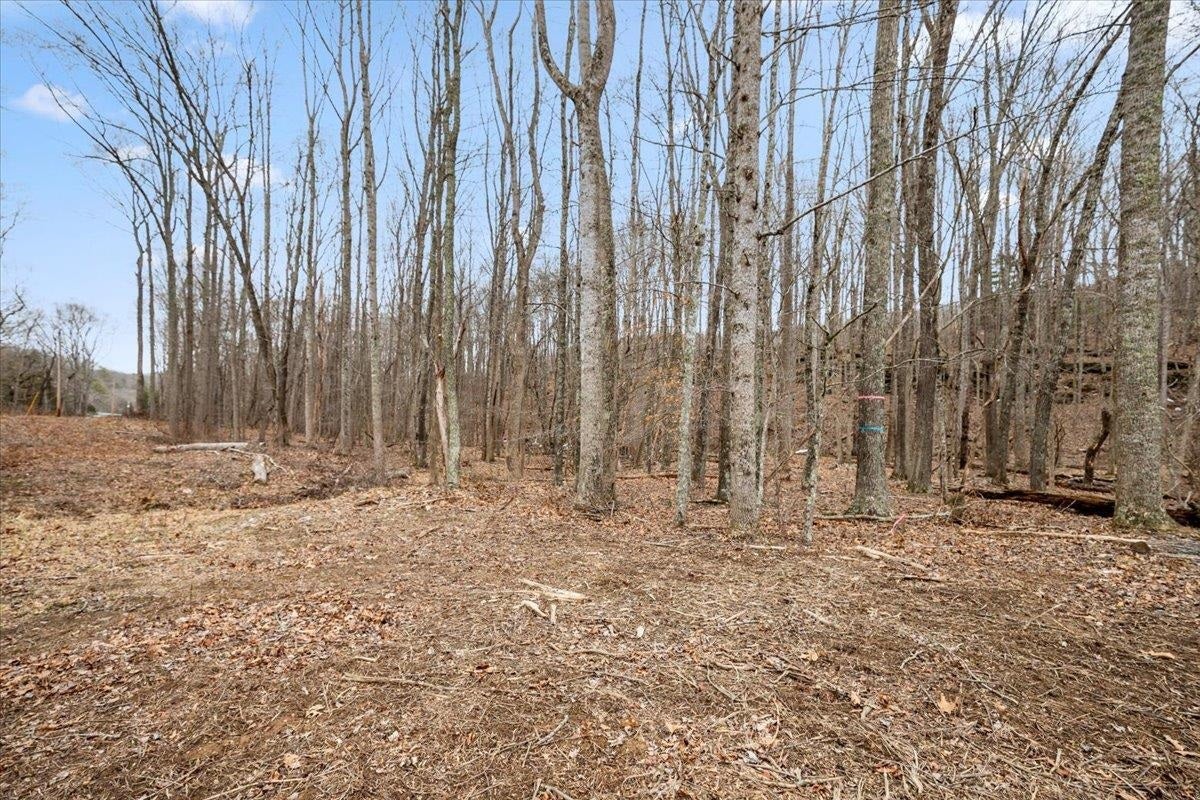 TBD Mt Tabor Road, Blacksburg, VA 24060