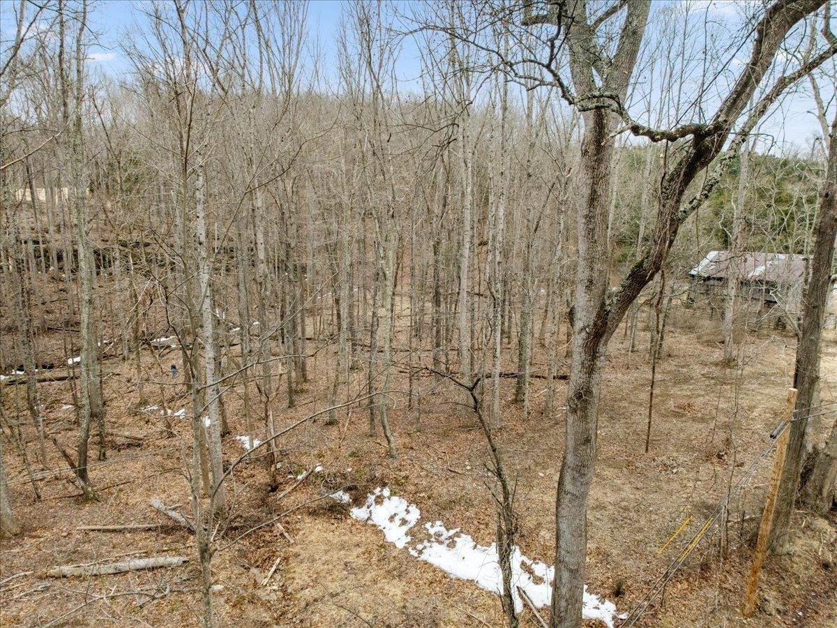 TBD Mt Tabor Road, Blacksburg, VA 24060