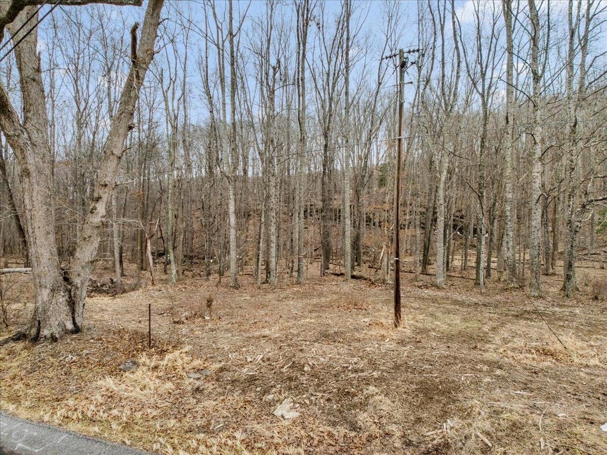 TBD Mt Tabor Road, Blacksburg, VA 24060