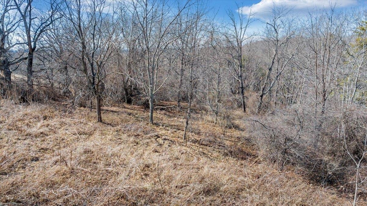 TBD Wetherburn Road, Christiansburg, VA 24073