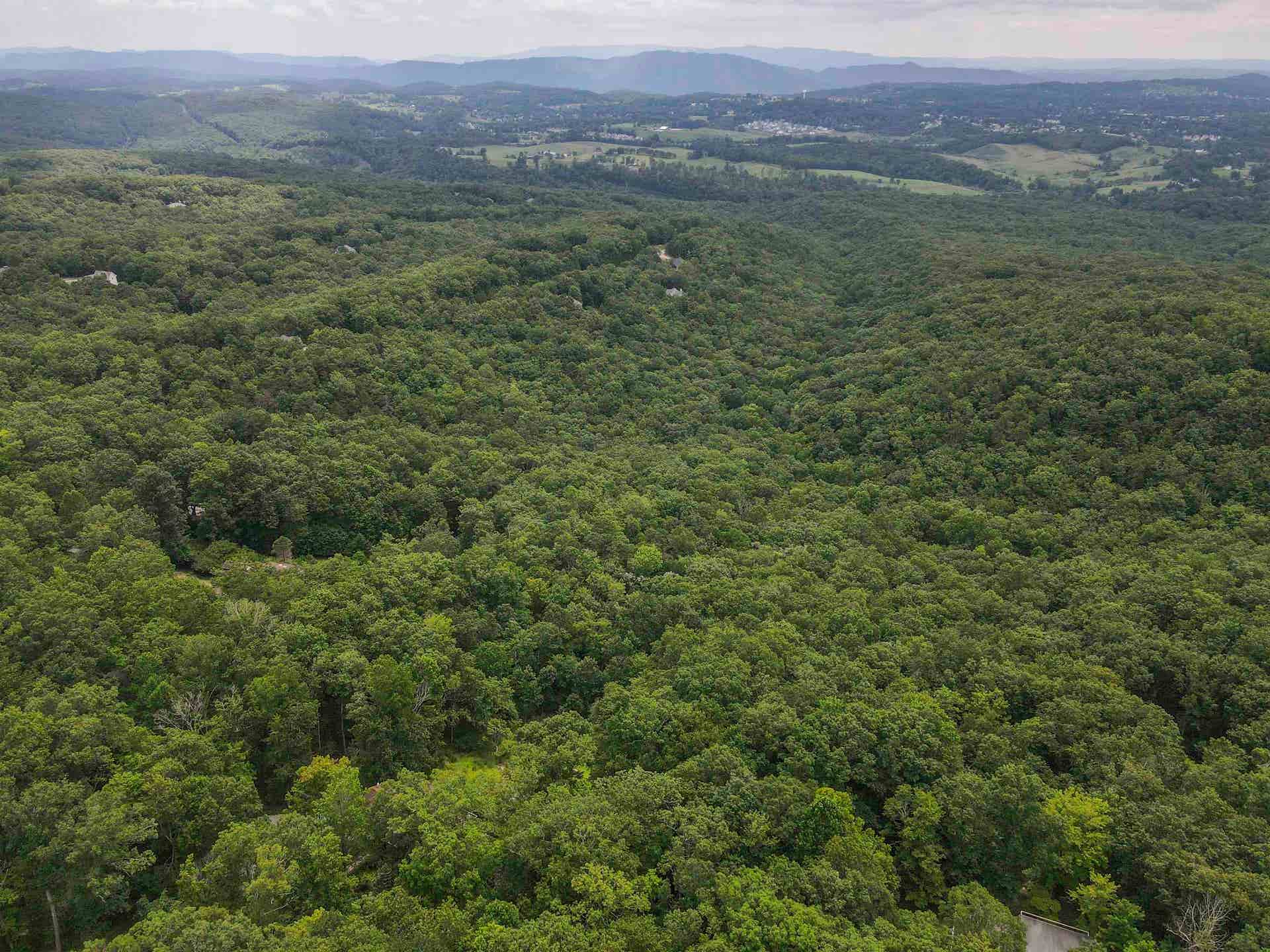 3624 Laurel Drive, Blacksburg, VA 24060