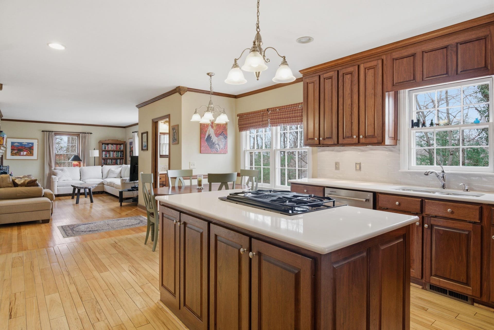 507 Forest Hill Drive, Blacksburg, VA 24060