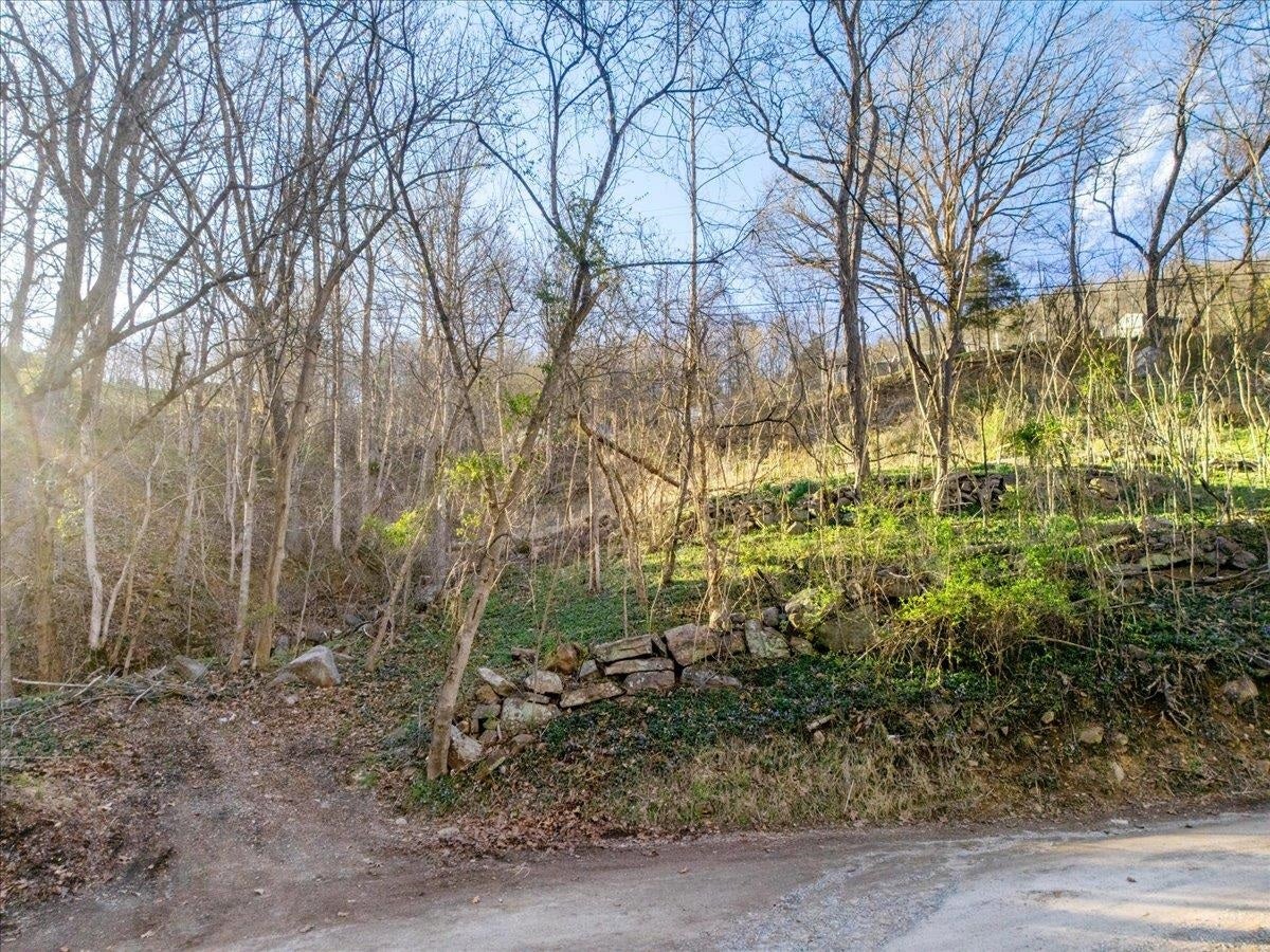 TBD Castle Road, Christiansburg, VA 24073
