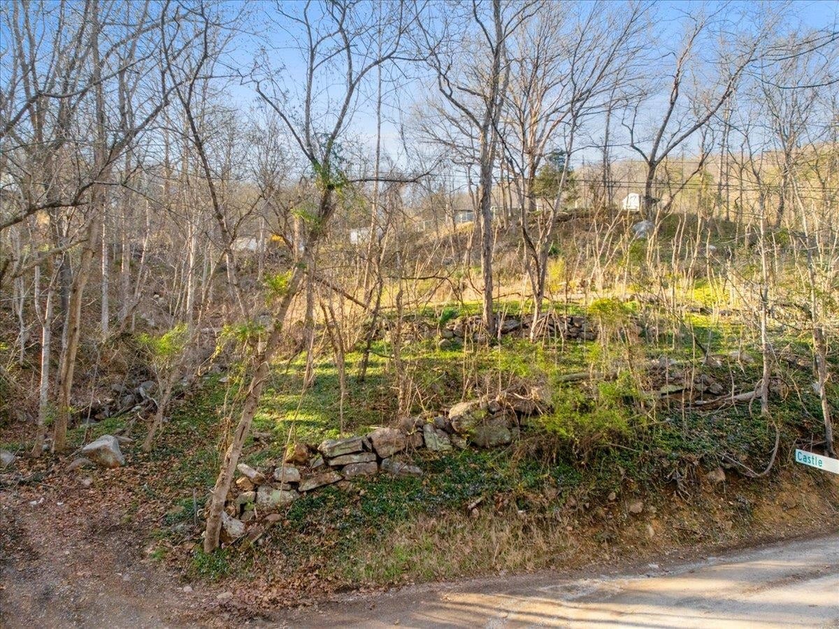 TBD Castle Road, Christiansburg, VA 24073