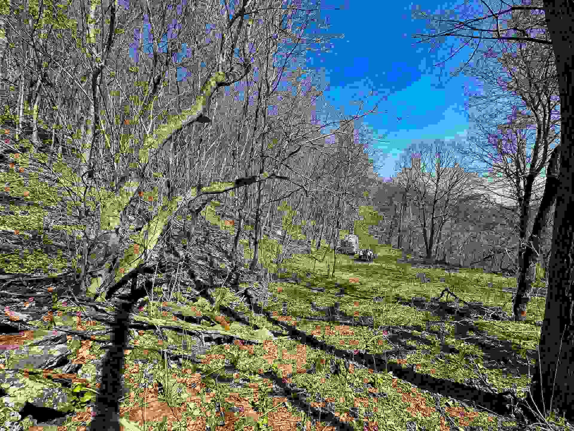 TBD MOUNTAIN LAKE Road, Newport, VA 24128