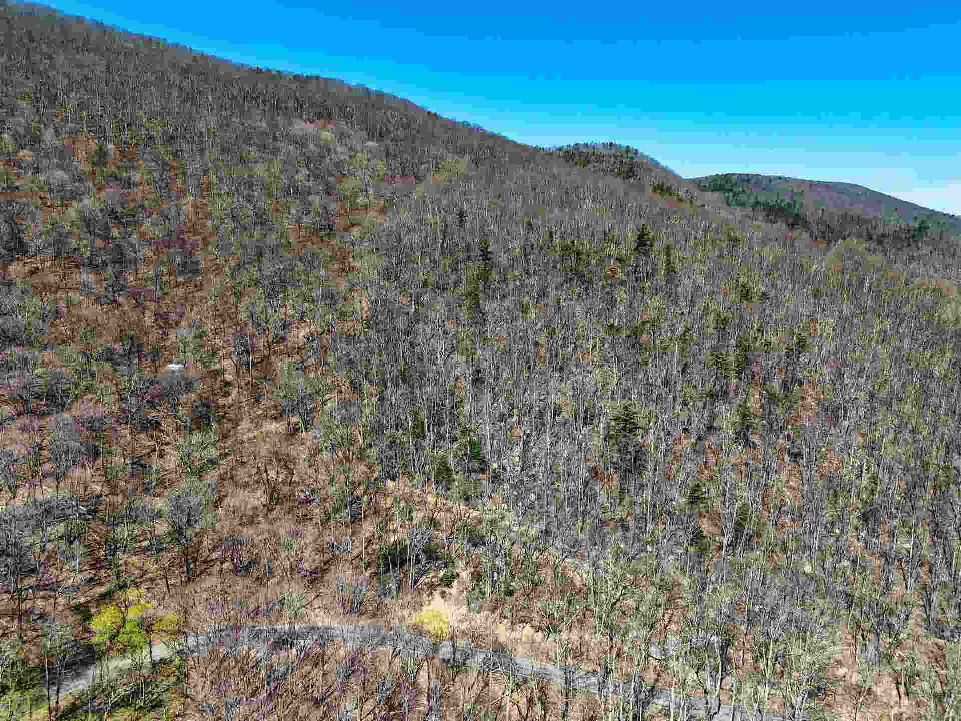 TBD MOUNTAIN LAKE Road, Newport, VA 24128