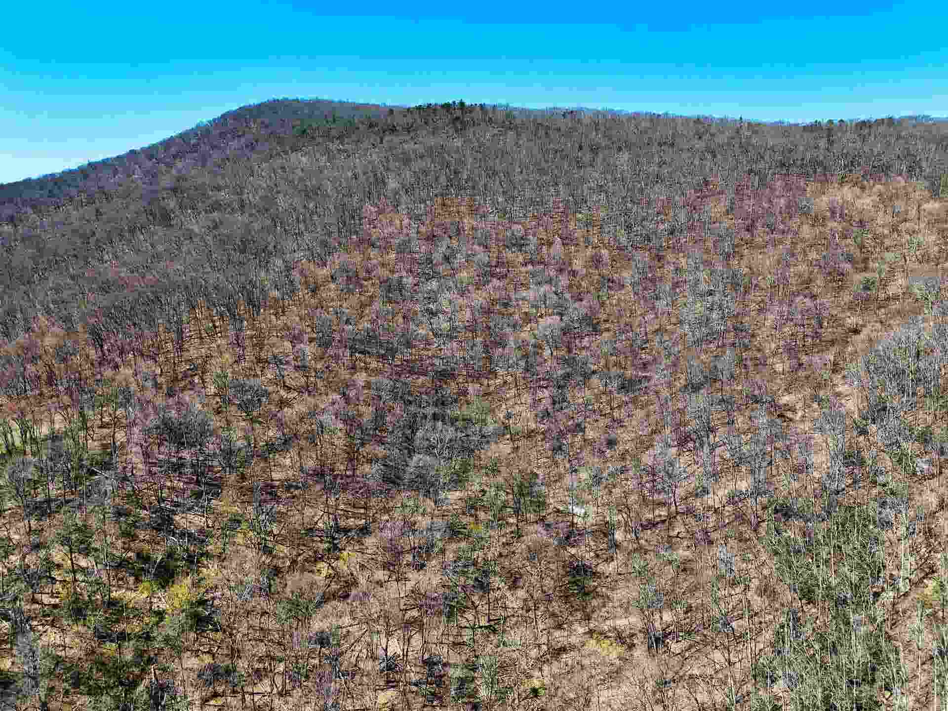 TBD MOUNTAIN LAKE Road, Newport, VA 24128