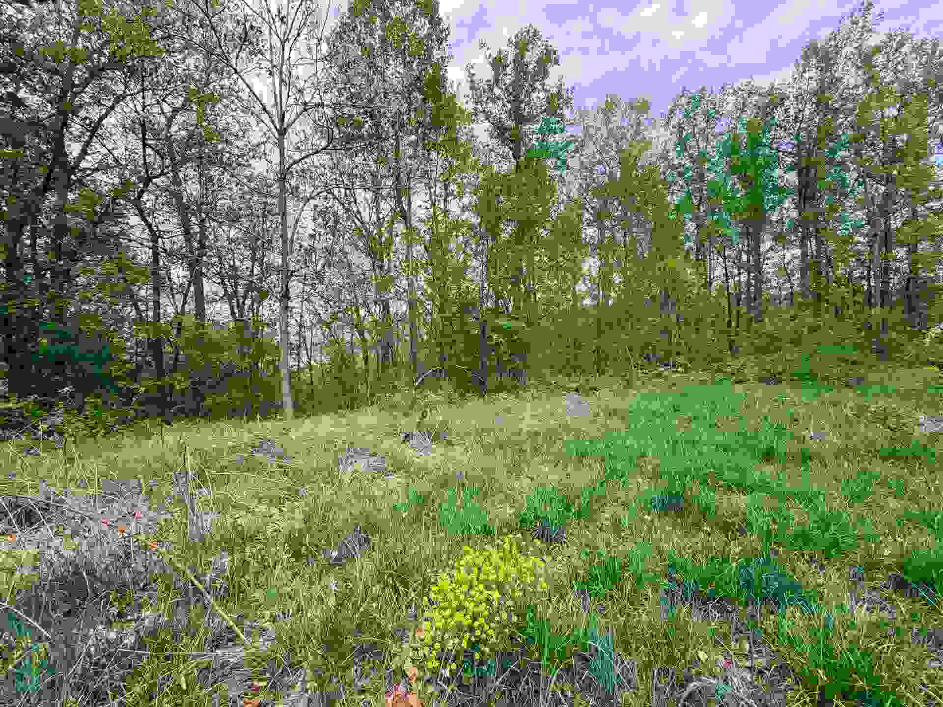 TBD Hidden Meadow Drive, Pearisburg, VA 24134
