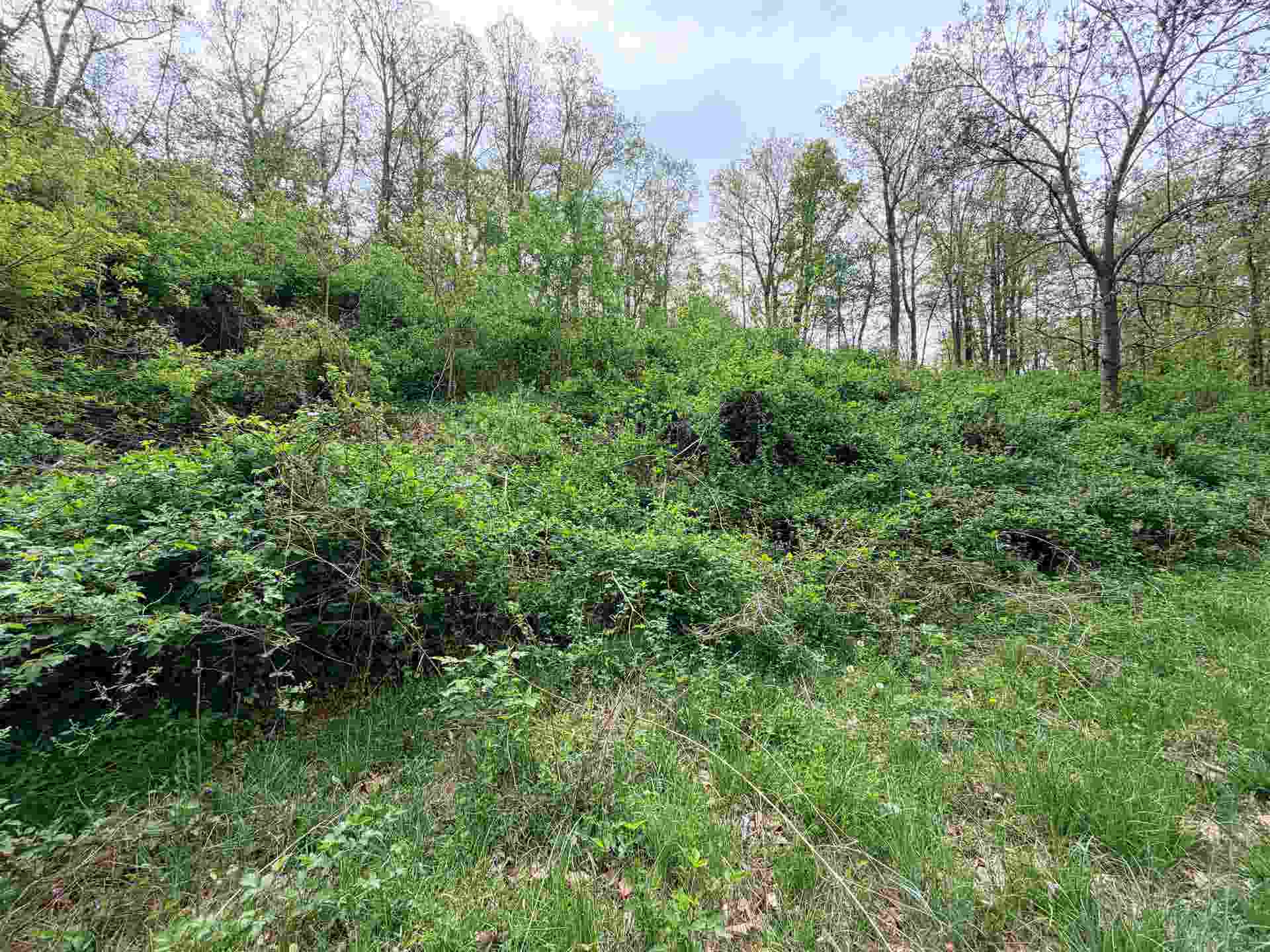 TBD Hidden Meadow Drive, Pearisburg, VA 24134