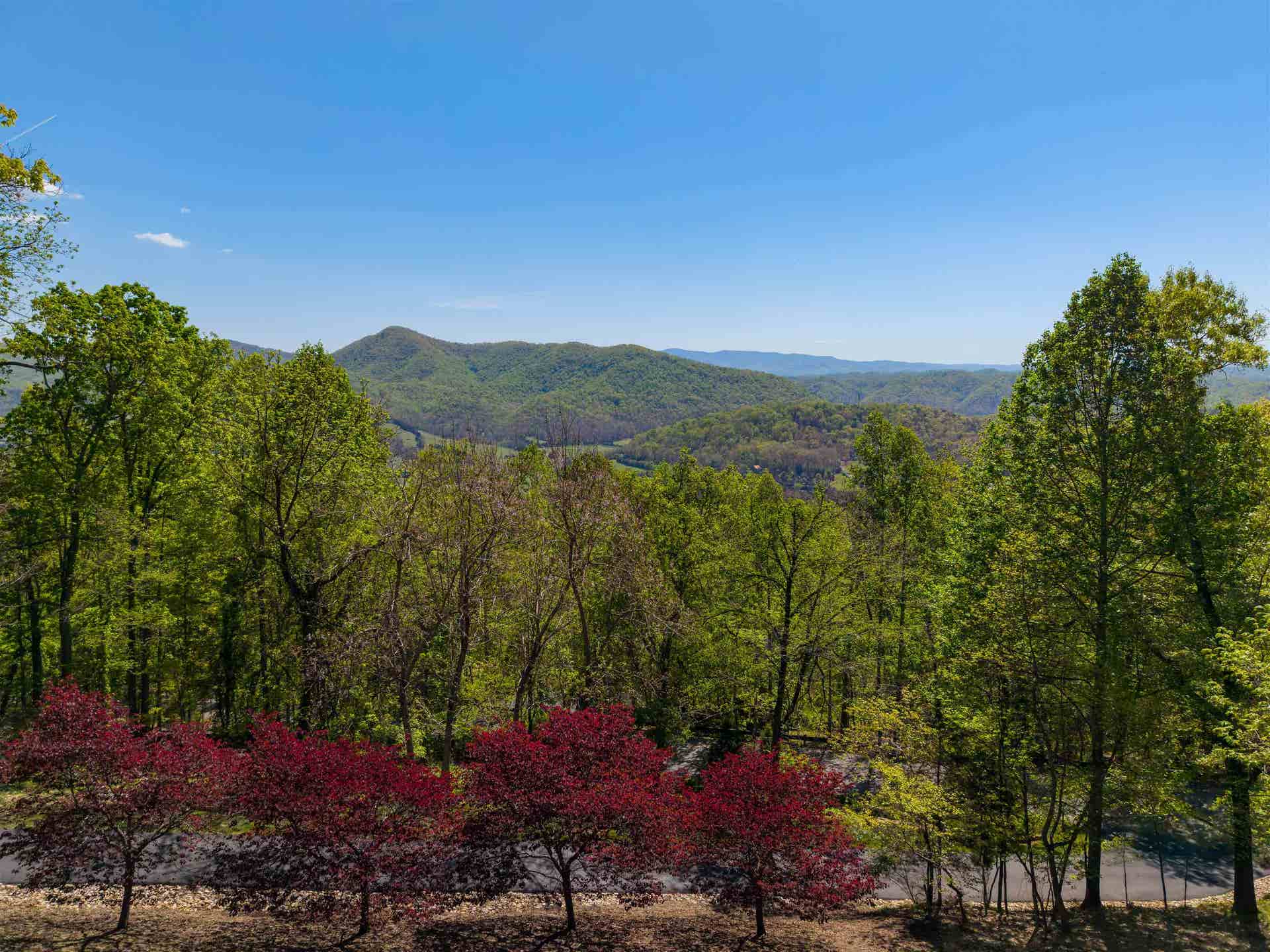 1345 Falcon Ridge Road, Blacksburg, VA 24060