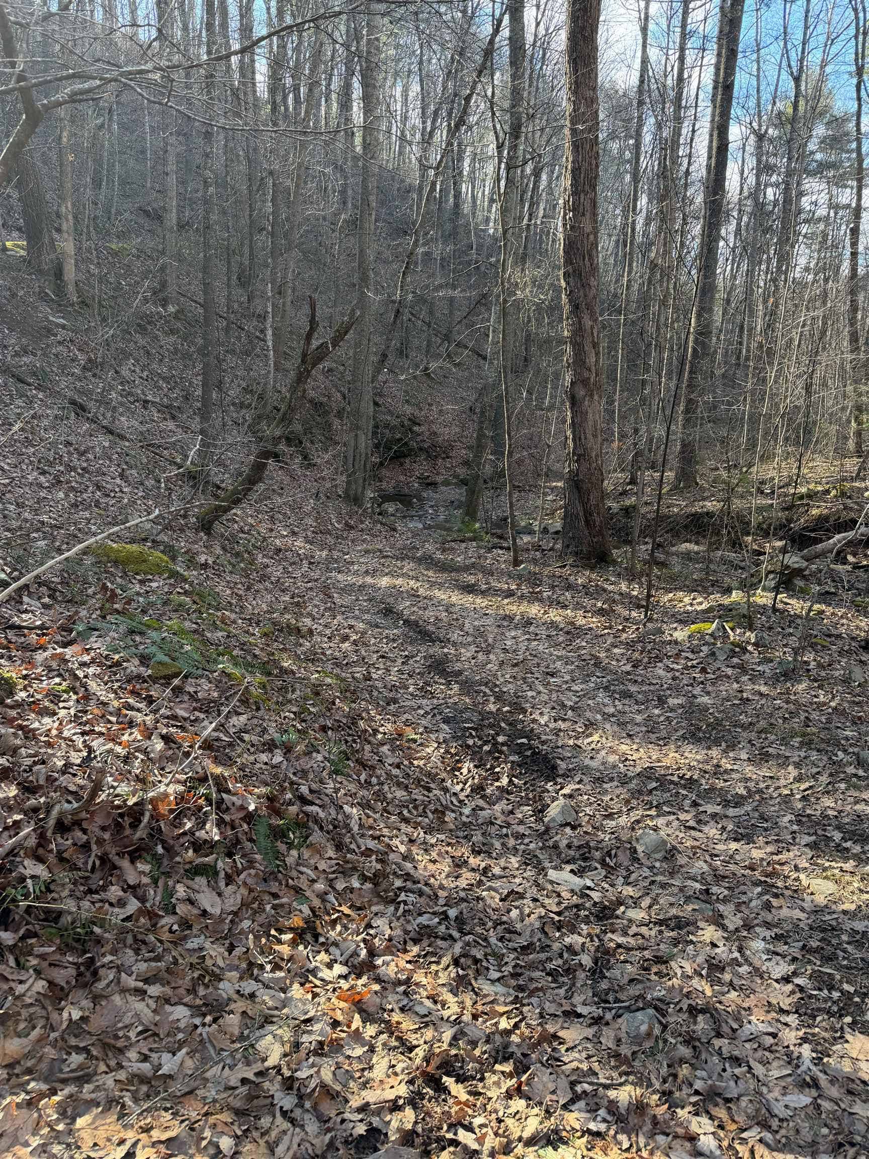 6388 Centennial Road, Blacksburg, VA 24060