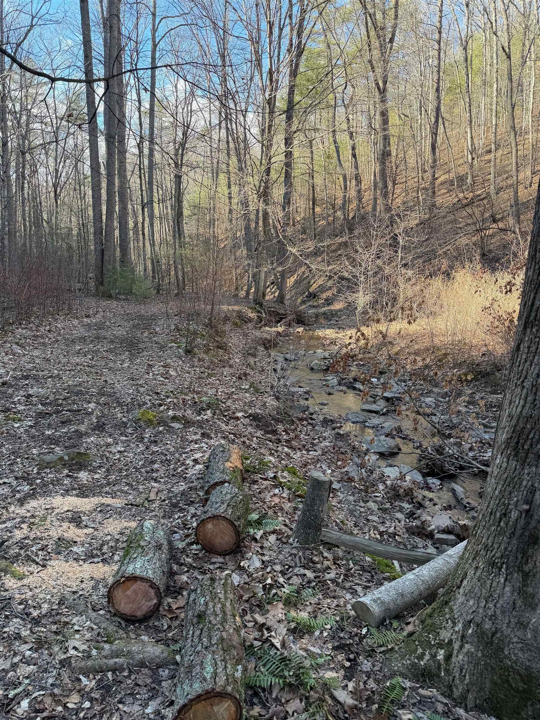 6388 Centennial Road, Blacksburg, VA 24060