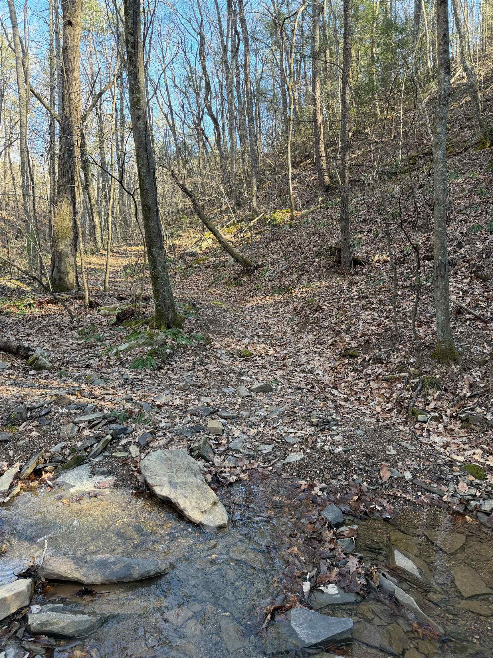 6388 Centennial Road, Blacksburg, VA 24060