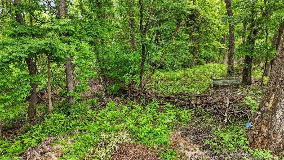 611 Landsdowne Drive, Blacksburg, VA 24060