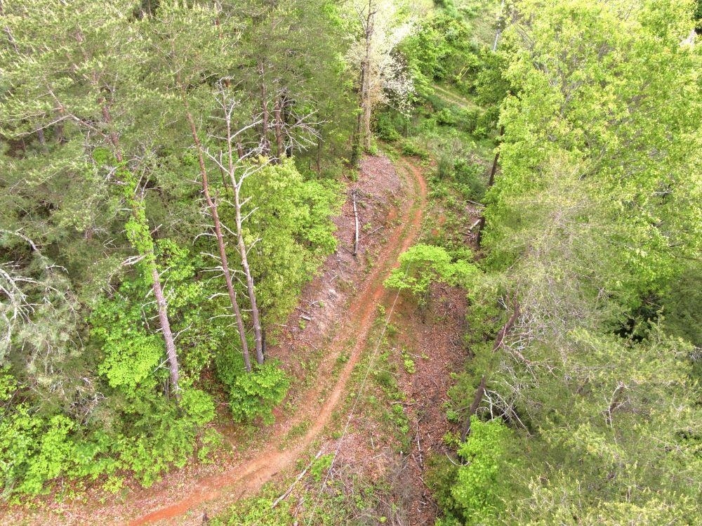 1961 Wolf Creek Road, Narrows, VA 24124