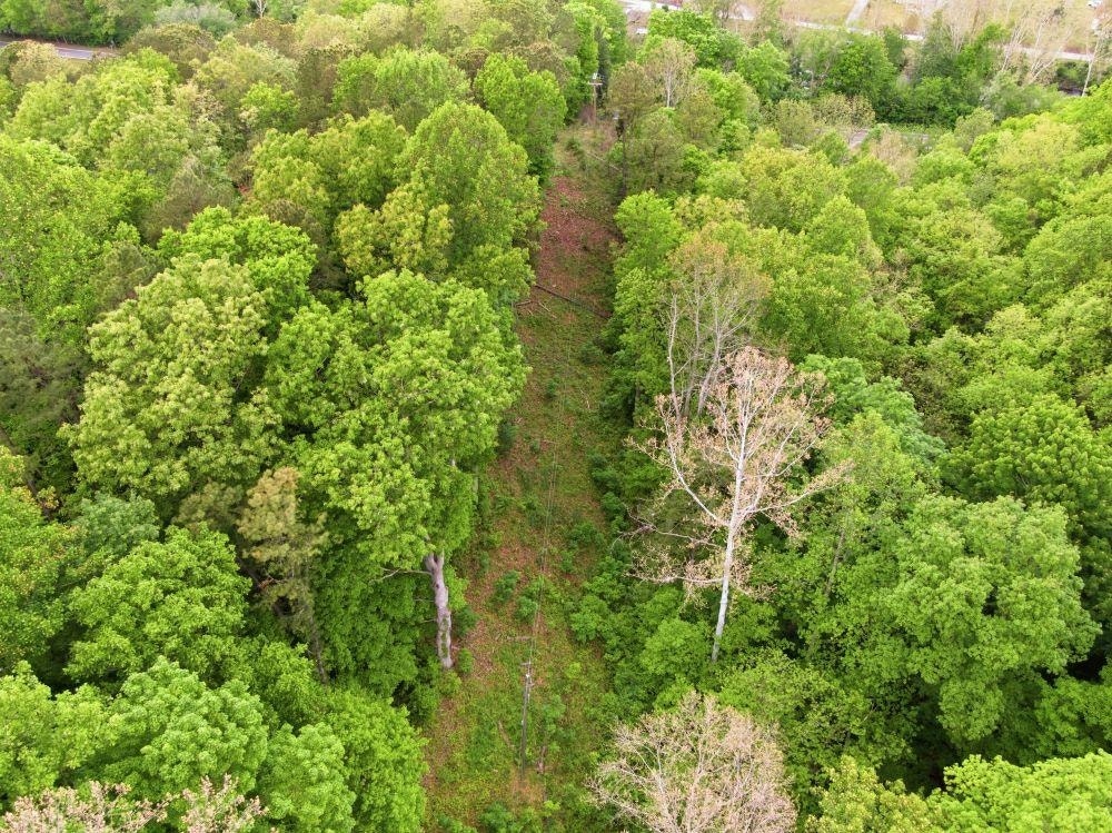 1961 Wolf Creek Road, Narrows, VA 24124