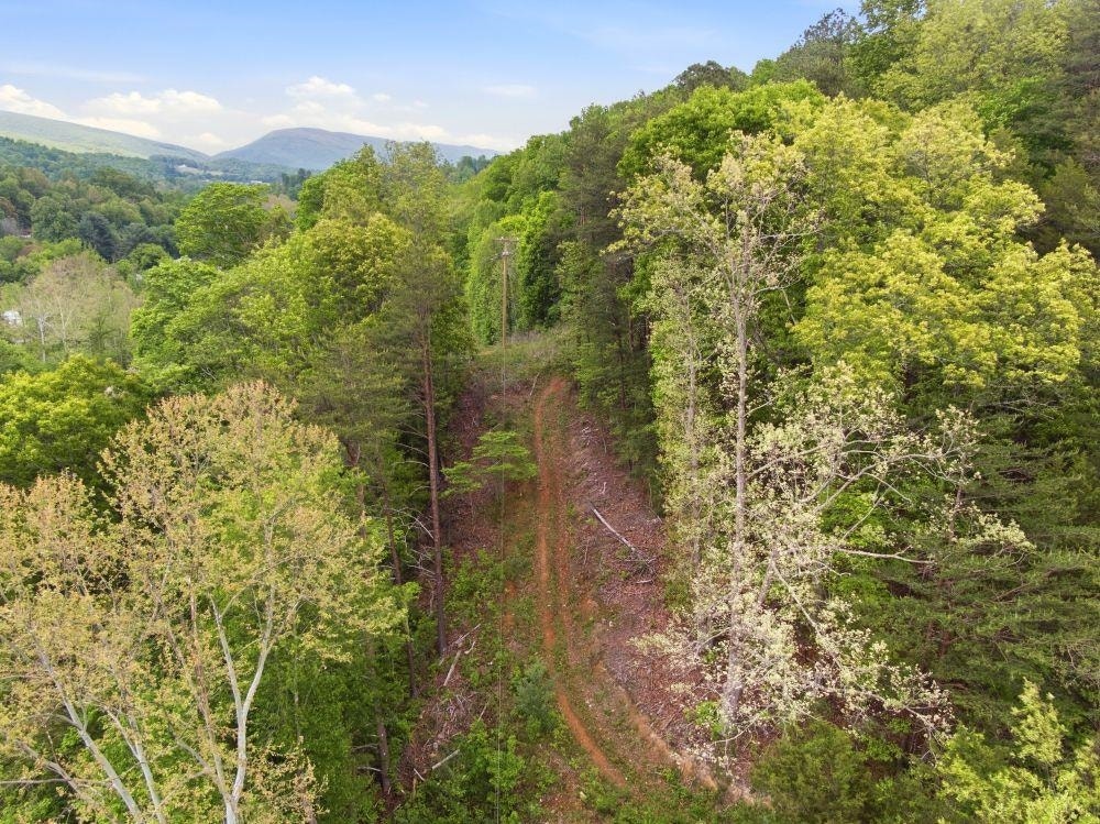 1961 Wolf Creek Road, Narrows, VA 24124