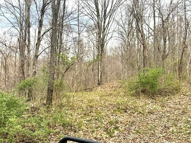 1961 Wolf Creek Road, Narrows, VA 24124