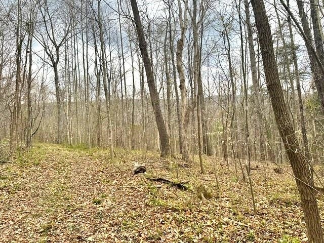 1961 Wolf Creek Road, Narrows, VA 24124