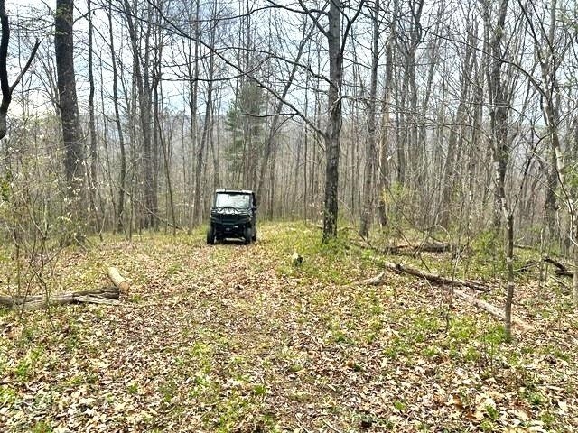 1961 Wolf Creek Road, Narrows, VA 24124