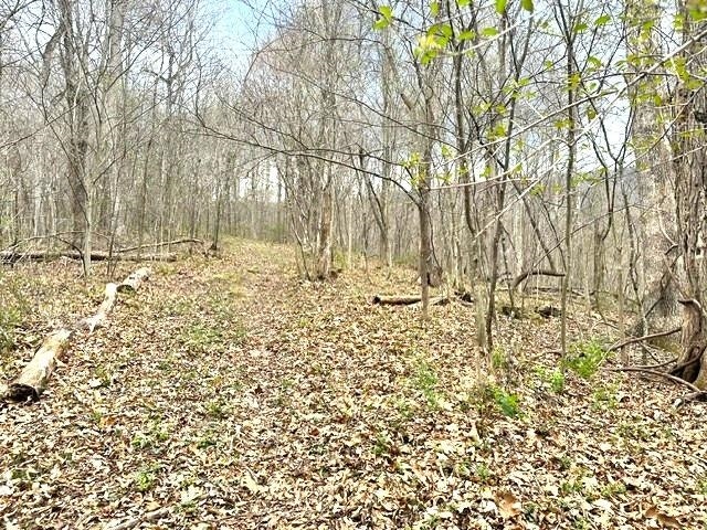 1961 Wolf Creek Road, Narrows, VA 24124