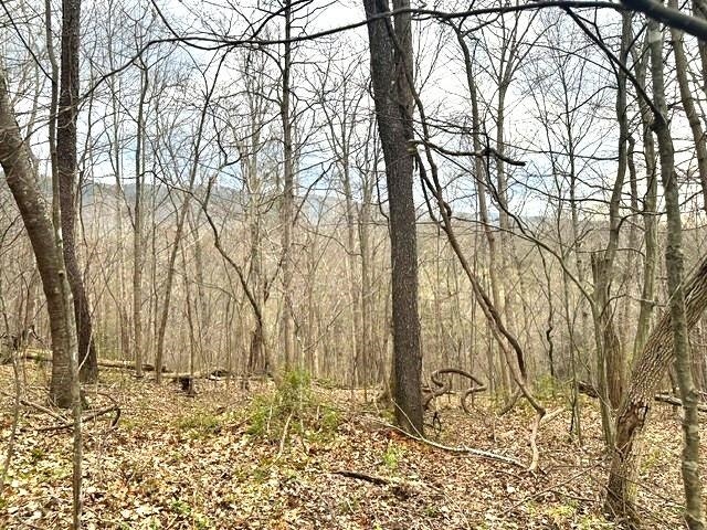 1961 Wolf Creek Road, Narrows, VA 24124