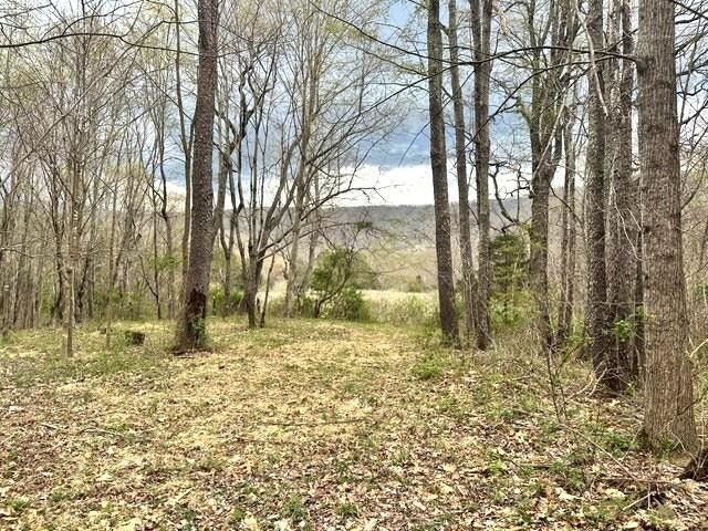 1961 Wolf Creek Road, Narrows, VA 24124