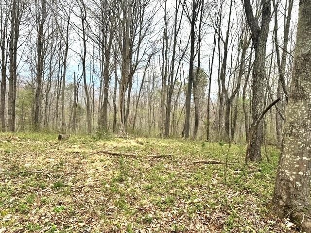 1961 Wolf Creek Road, Narrows, VA 24124