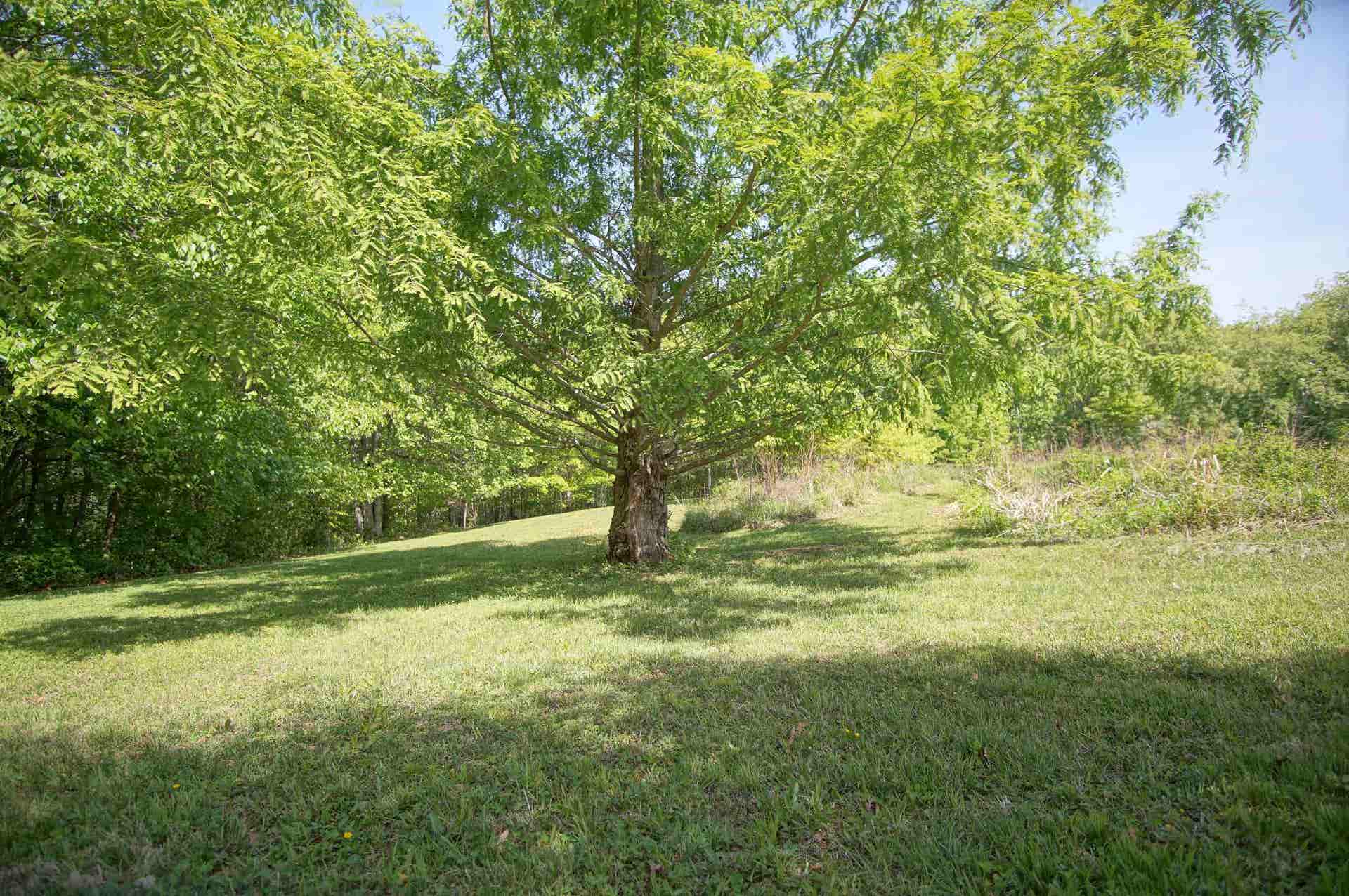 6230 Lilly Road, Blacksburg, VA 24060