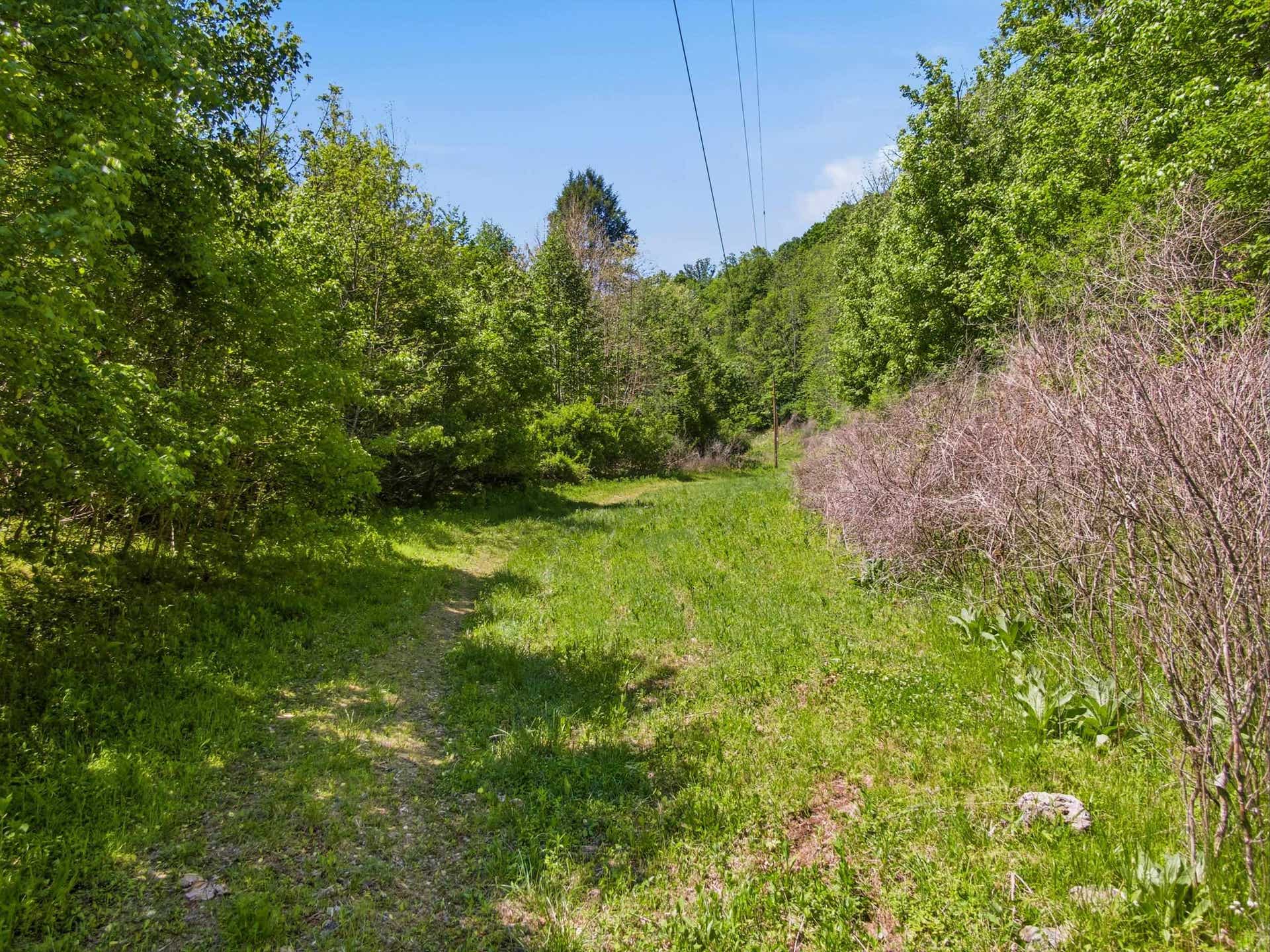 TBD Painters School Road, Pembroke, VA 24136