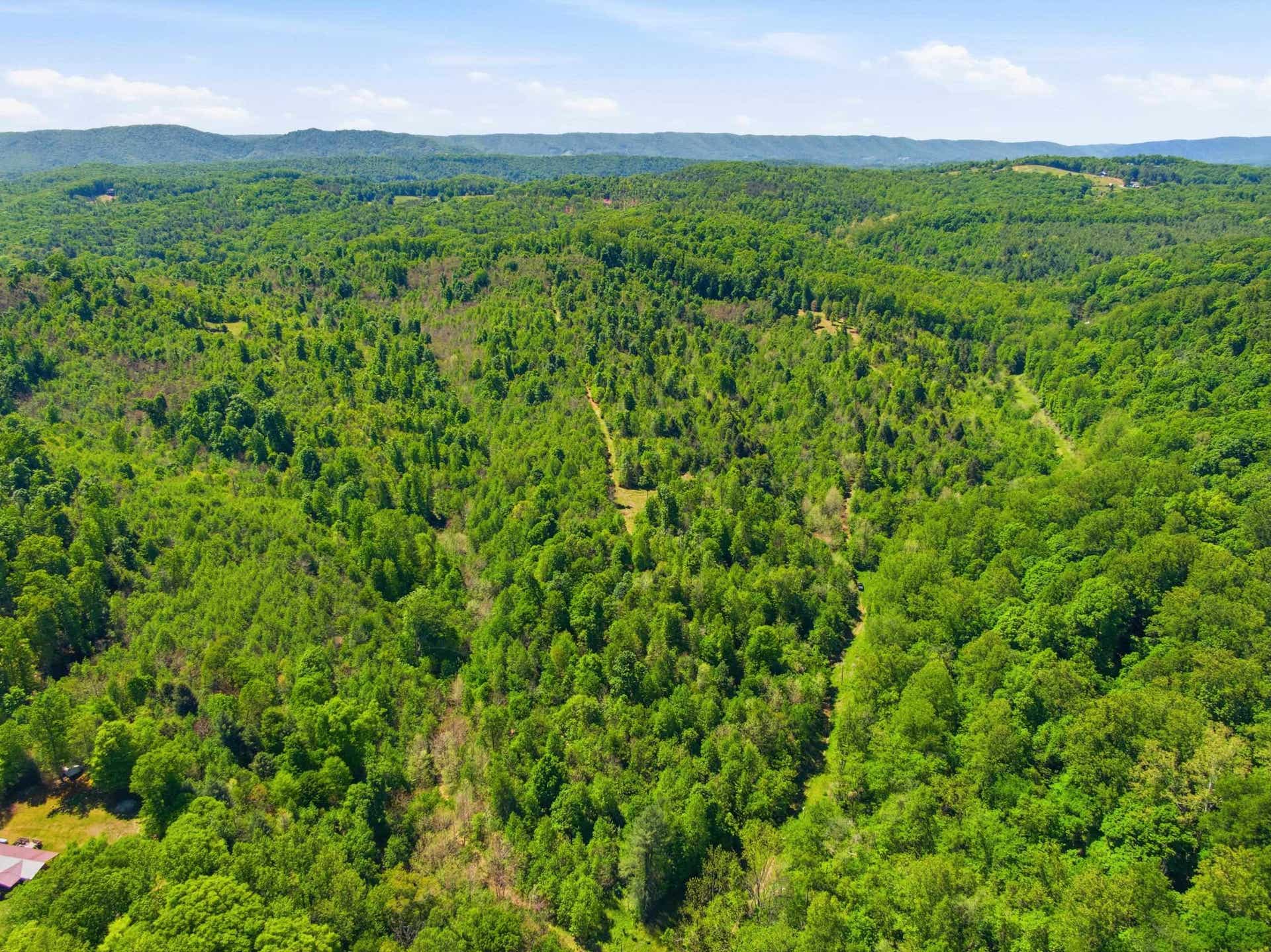 TBD Painters School Road, Pembroke, VA 24136