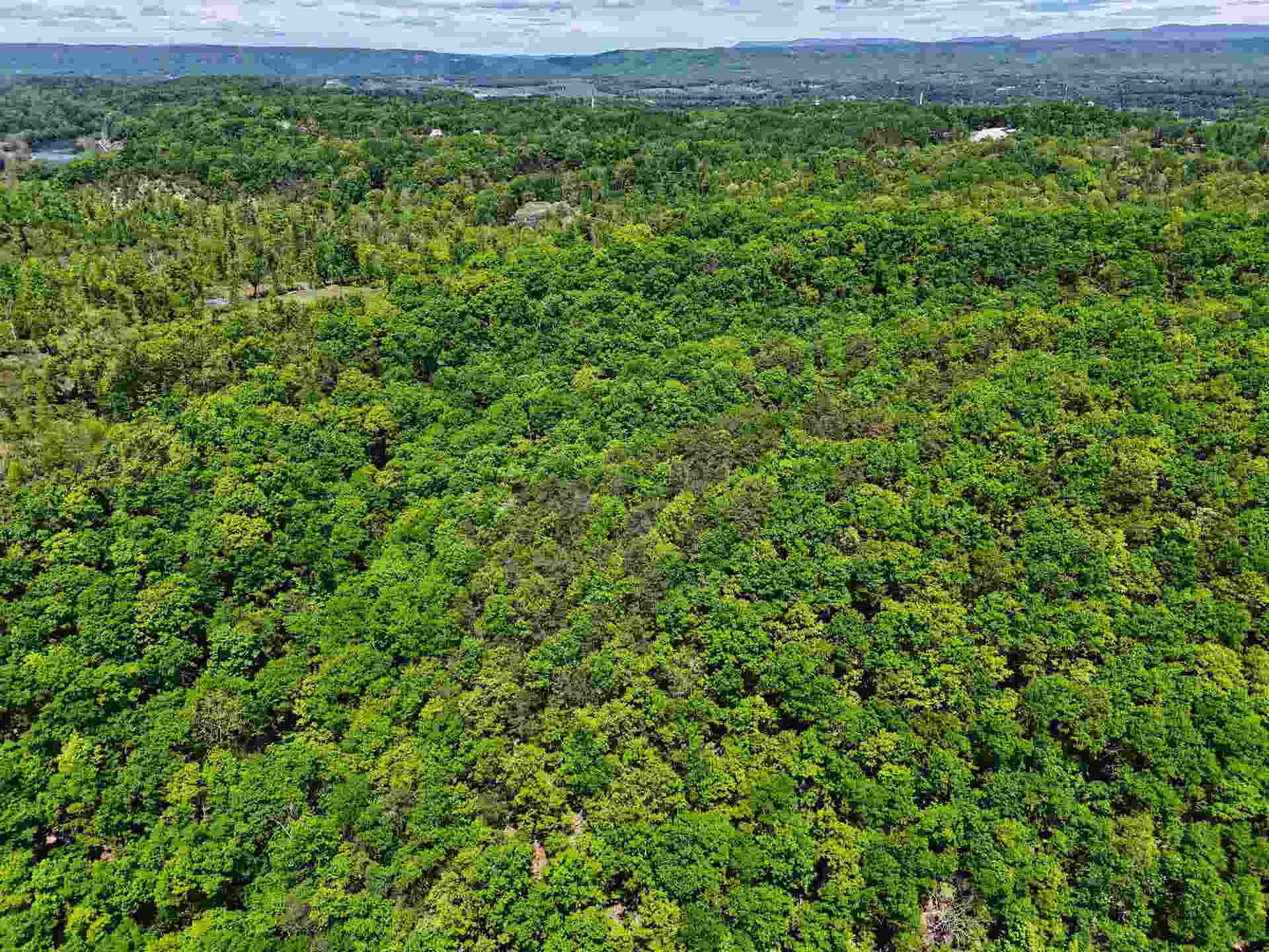 TBD PEPPERS FERRY Road, Christiansburg, VA 24073