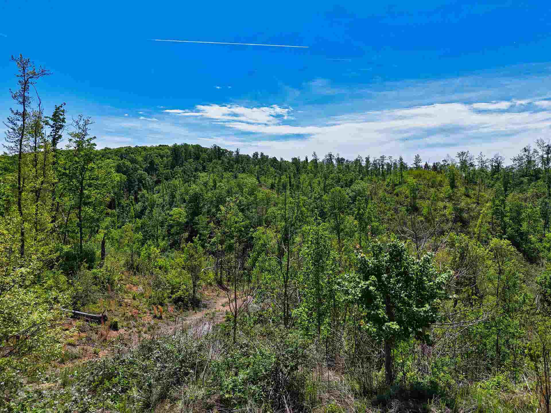 TBD PEPPERS FERRY Road, Christiansburg, VA 24073