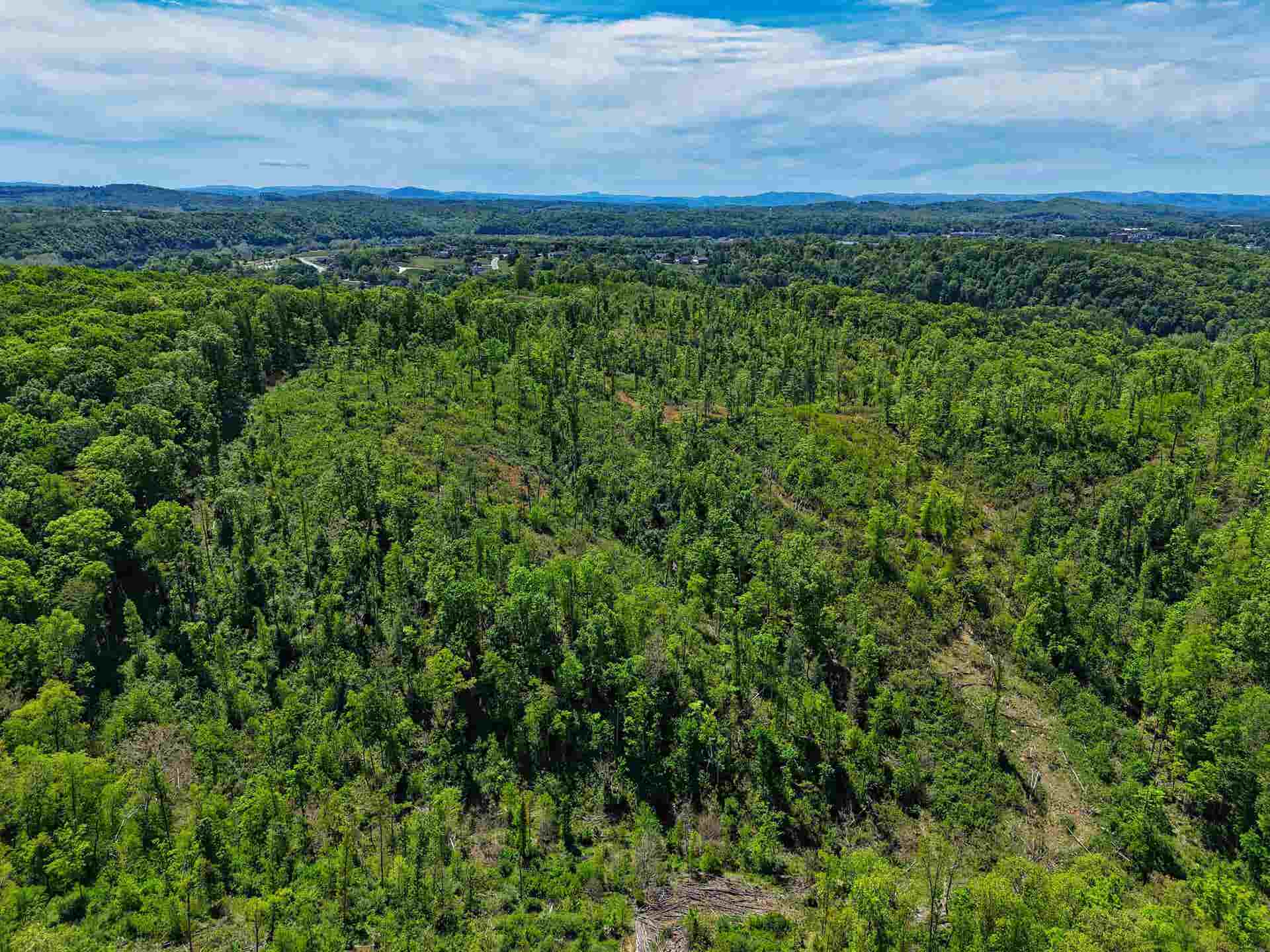 TBD PEPPERS FERRY Road, Christiansburg, VA 24073
