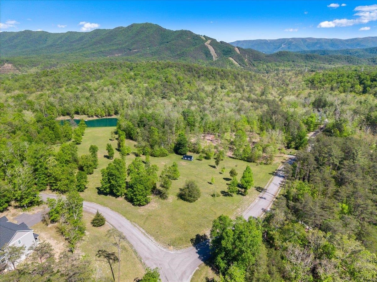 3602 KNOB FOREST Circle, Elliston, VA 24087