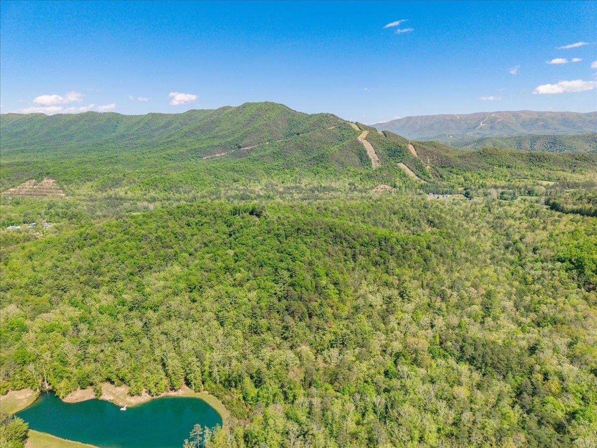 3602 KNOB FOREST Circle, Elliston, VA 24087