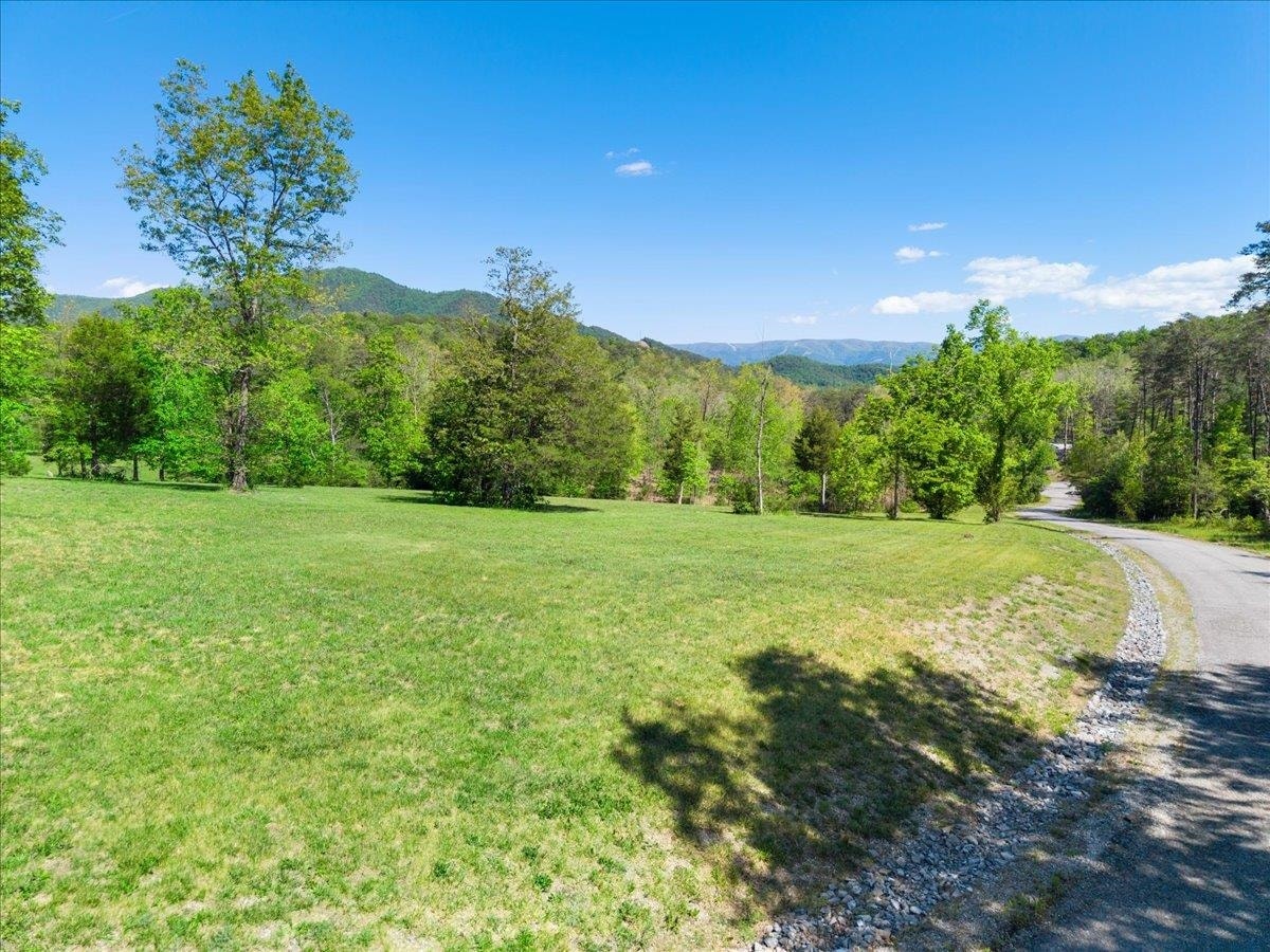 3602 KNOB FOREST Circle, Elliston, VA 24087