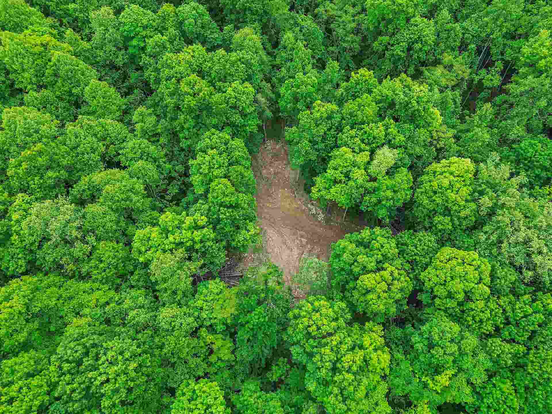 0 Ravens Ridge Road, Pearisburg, VA 24134