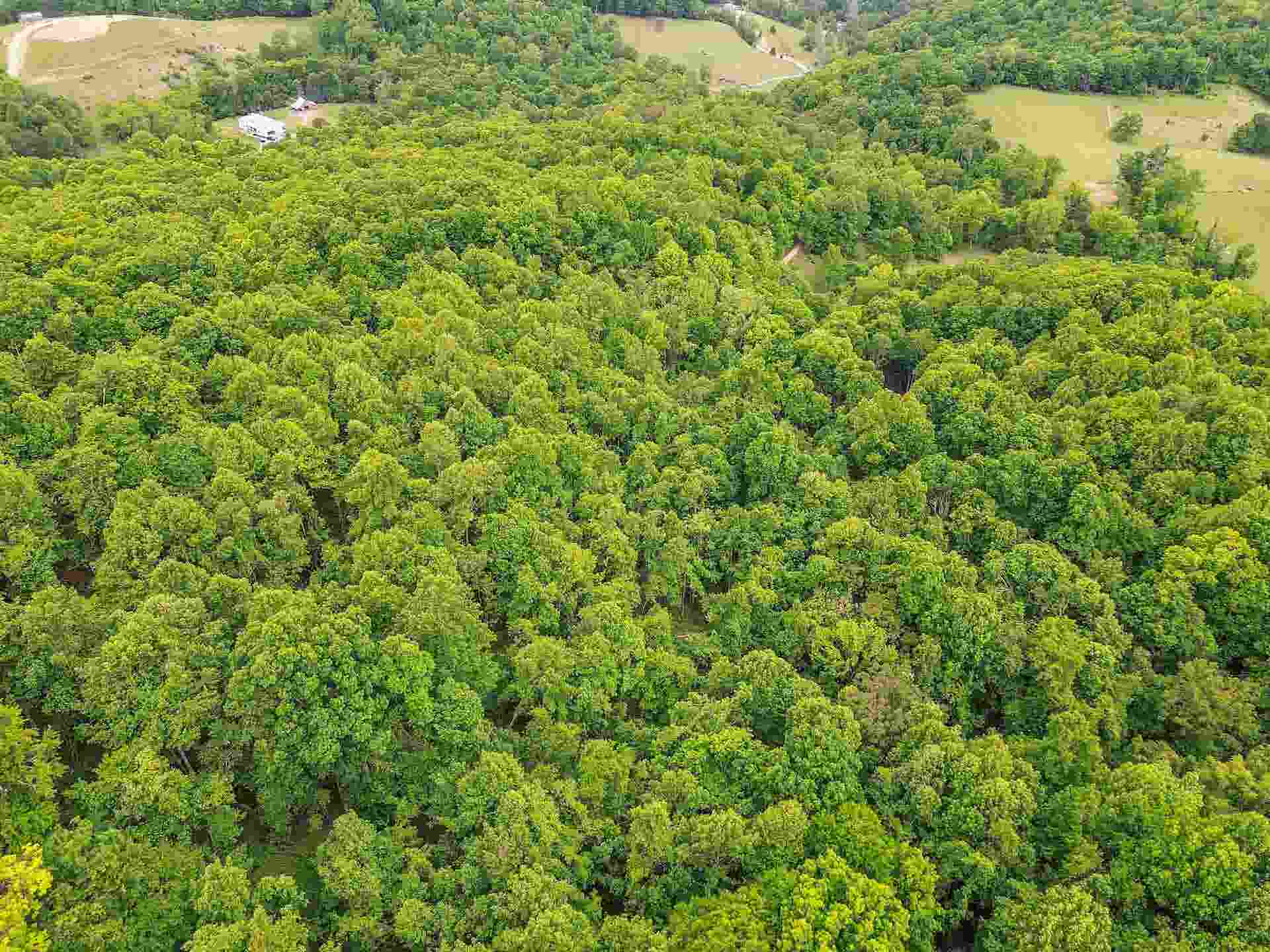 0 Ravens Ridge Road, Pearisburg, VA 24134