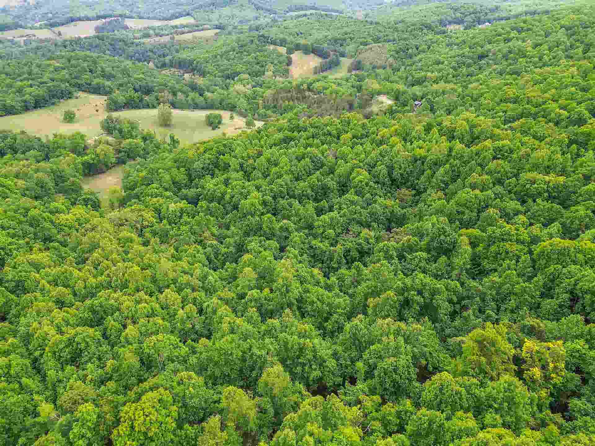 0 Ravens Ridge Road, Pearisburg, VA 24134