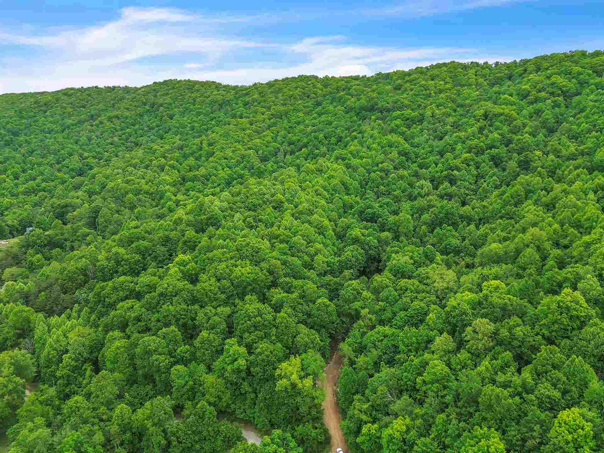 0 Ravens Ridge Road, Pearisburg, VA 24134