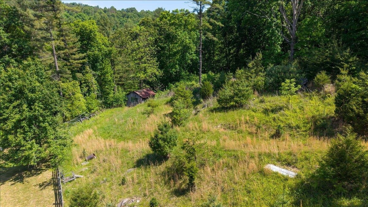 1353 Green Valley Road Road, Eggleston, VA 24086