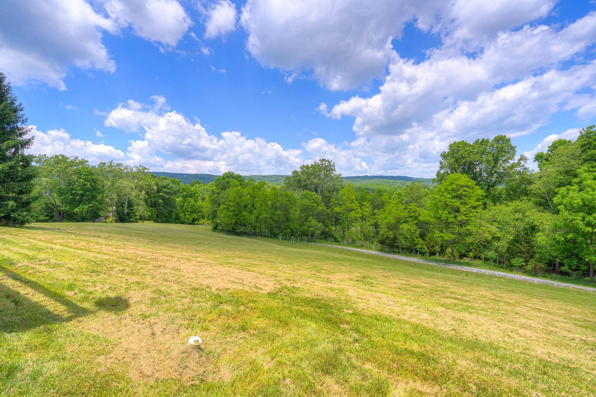 1000 Doe Run, Blacksburg, VA 24060