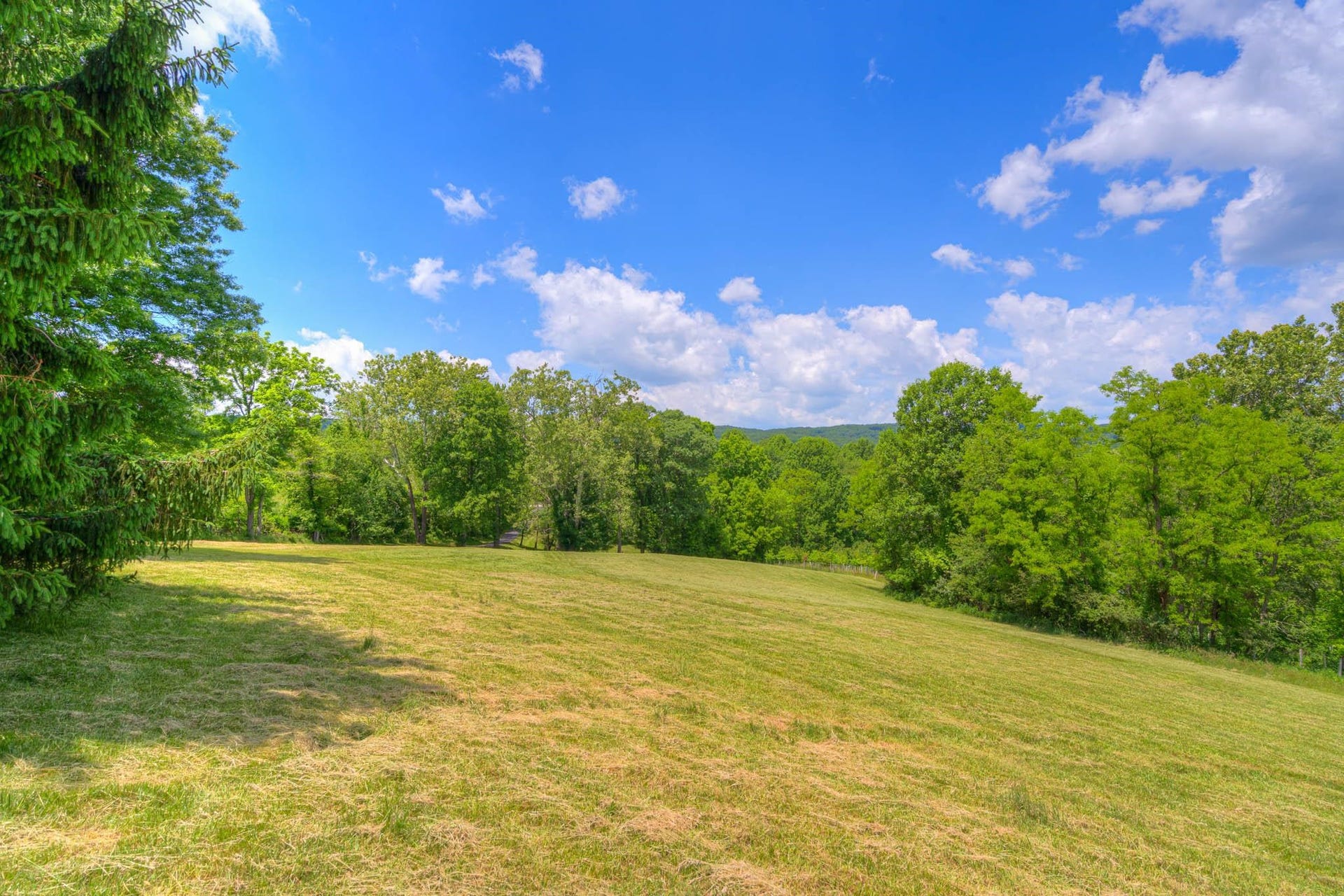 1000 Doe Run, Blacksburg, VA 24060